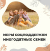 Меры поддержки многодетных семей в Брянской области