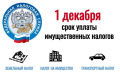 1 декабря срок уплаты налогов
